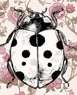 Ladybug Wallpaper Square