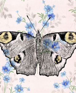 Moth Wallpaper Square