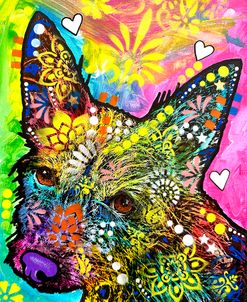 Fuzz