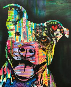 Exhuberant Pit Bull