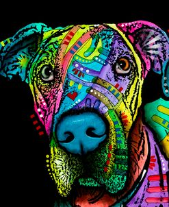 Indelible Dane