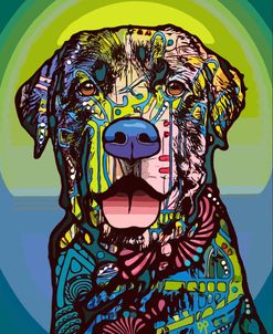 Indelible Lab