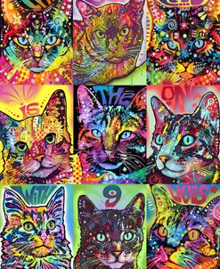 Nine Up of Cats