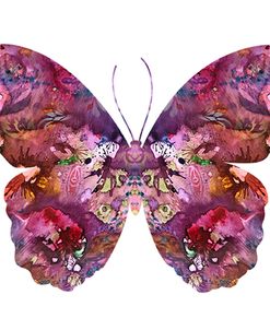 Cinematic Butterfly