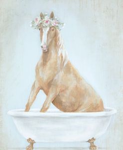 Horse In A Tub