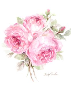 English Roses