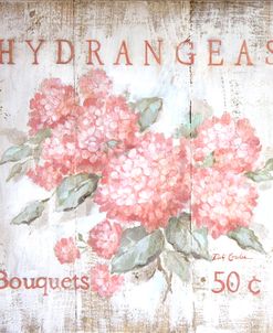 Coral Hydrangeas