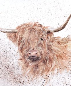 Bad Hair Day Highland Cow
