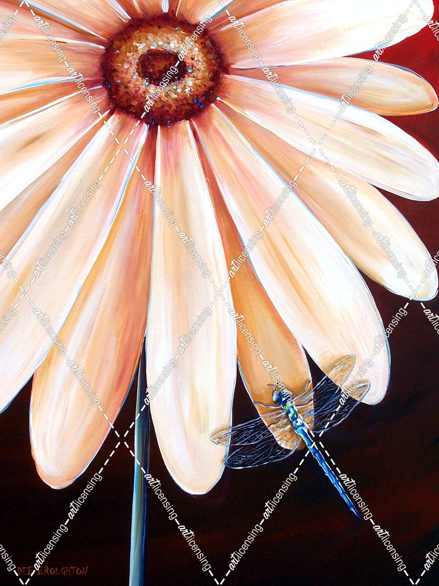 Flower Gerberadragonfly