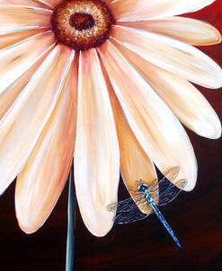 Flower Gerberadragonfly