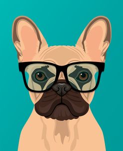 French Bulldog Teal