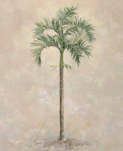 Palm Tree 4