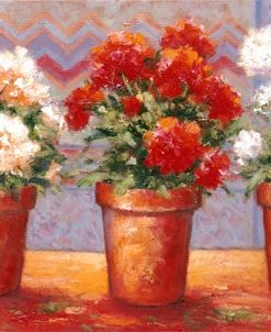 Row Of Flower Pots – A