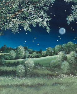 Fireflies Meadow