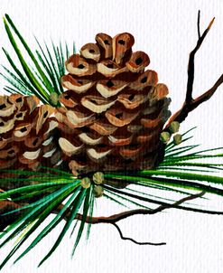 pine cone copy brochure