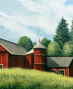 Red Barn Summer