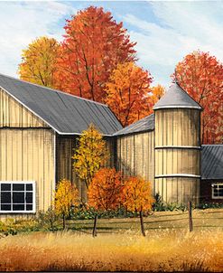 Yellow Barn Fall