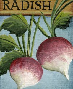 Seed Packets 02 – Radish