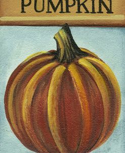 Seed Packets 11 – Pumpkin