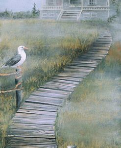 Fog at Popham Beach