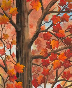 Maple VT