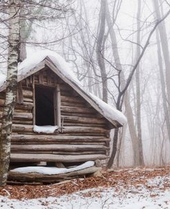 Cabin in the Woods