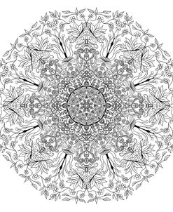 Mushroom Mandala