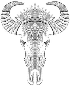 Bull Skull