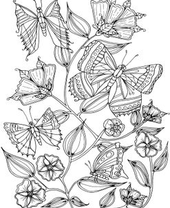 Butterflies