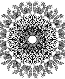 Owl Dala