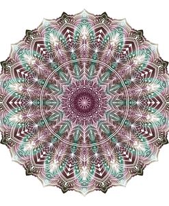 Mandala White On Colours