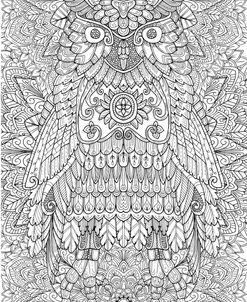 Owl 3