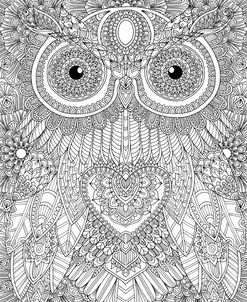 Owl 4