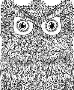 Owl 1