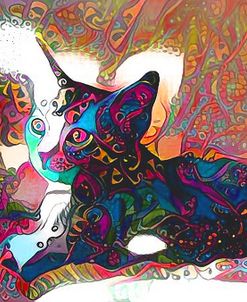 Rainbow Cat 10