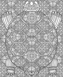 Tortoise Tiles