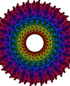 Rainbow Leaves and Swirls Mandala