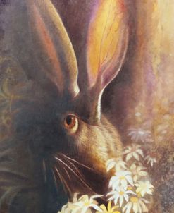 By A Hare