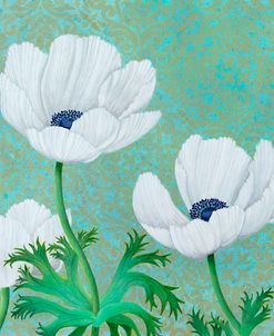 Paris White Anemone