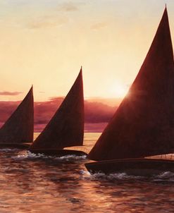 Evening Sails