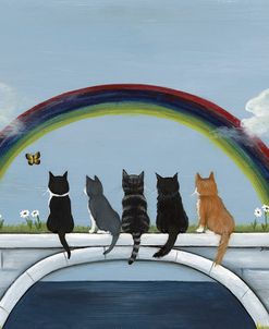 Rainbow Bridge Kitties