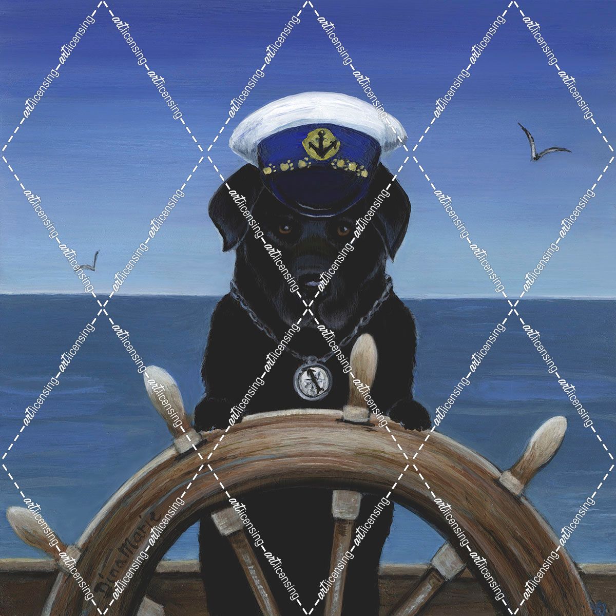 Captian Of Your Ship