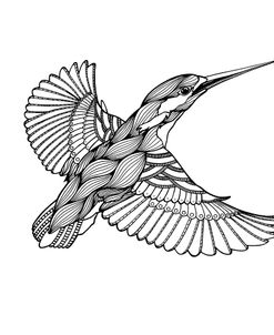 BW Kingfisher