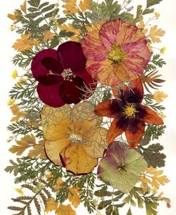 Dried Flowers 23