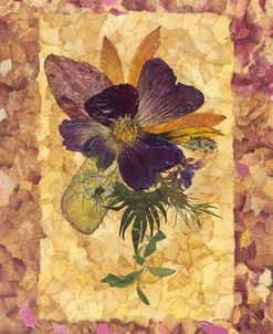 Dried Flowers 34