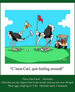 Ostrich Golf