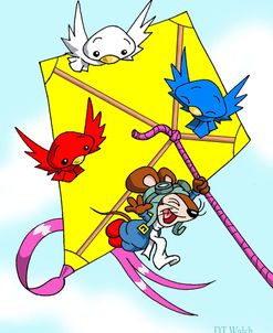 Flying A Kite