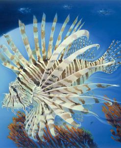 Lion Fish