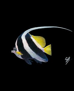 Bannerfish