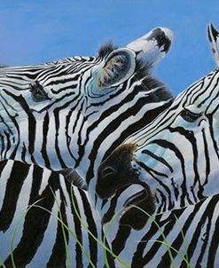 Serengeti Serenade-Zebras